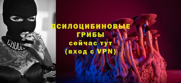 прущие грибы Краснотурьинск