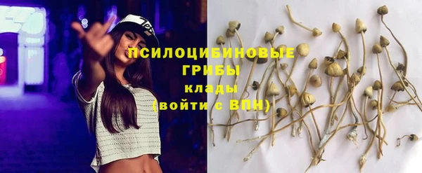 2c-b Куйбышев