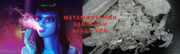 прущие грибы Краснотурьинск